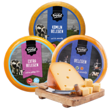 Noordertrots kaasstukken 35+ of 48+ 